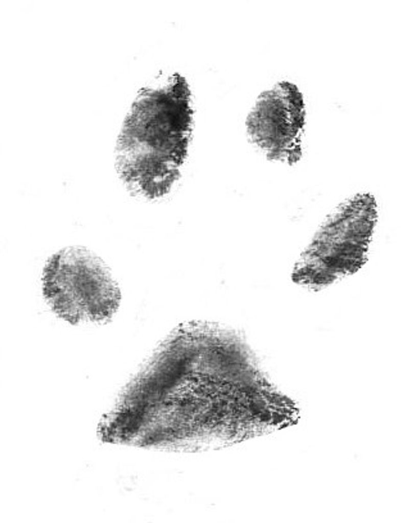 Bruce Jones Profile Photo