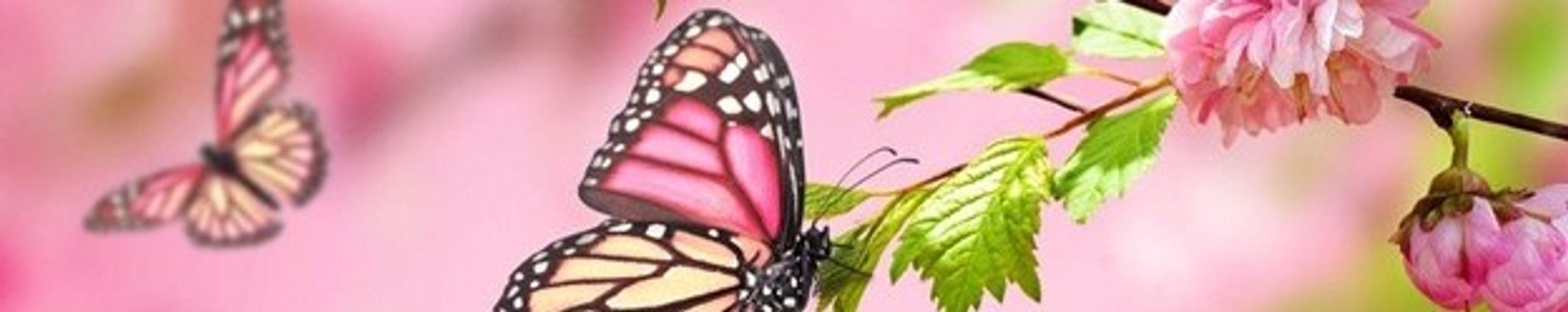 Cover photo for Presley Eloise Nesvik's Obituary