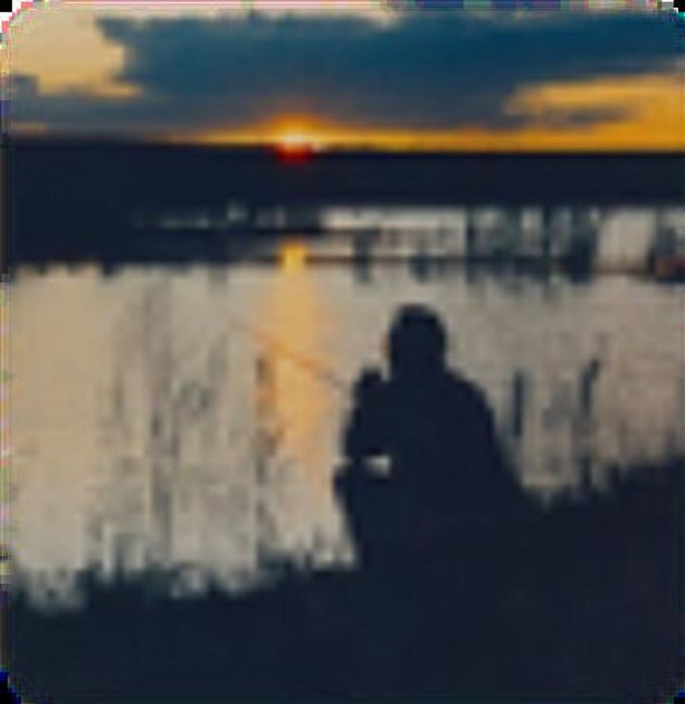 Michele Iacobellis Profile Photo