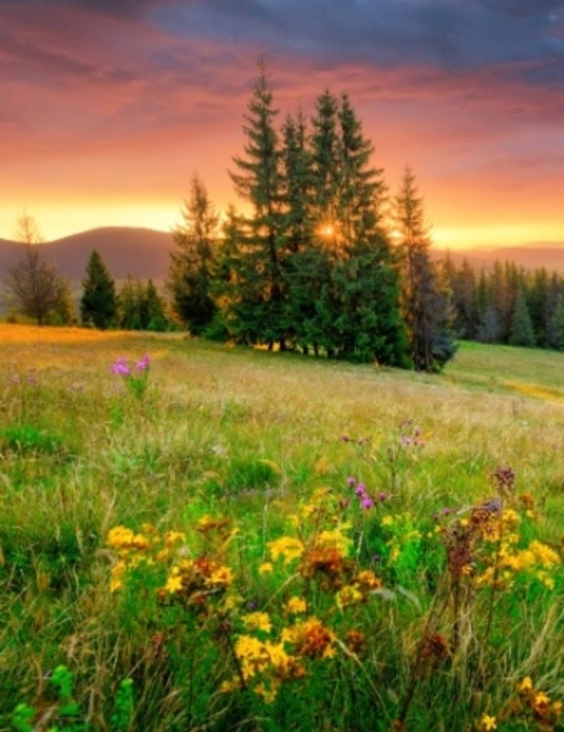 David Howarth Profile Photo