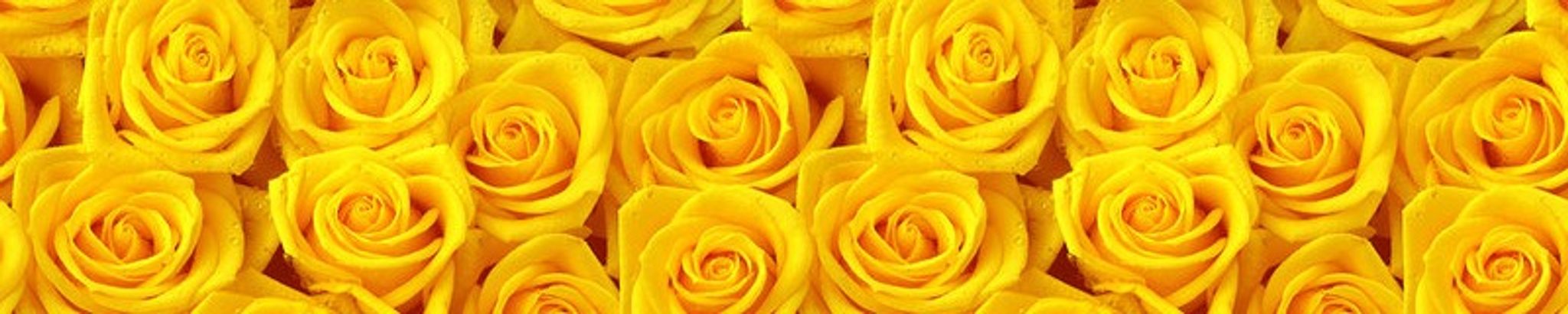 Cover photo for Wilma Jean Franks's Obituary