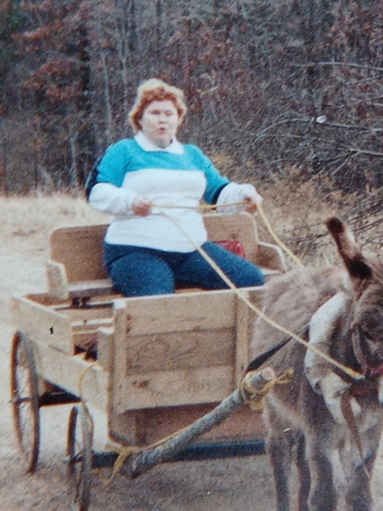 Audrey L Cole Profile Photo