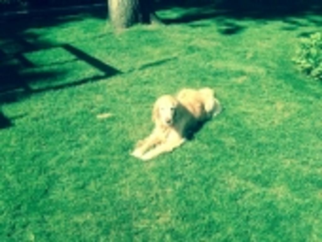 Ella Bremer Profile Photo