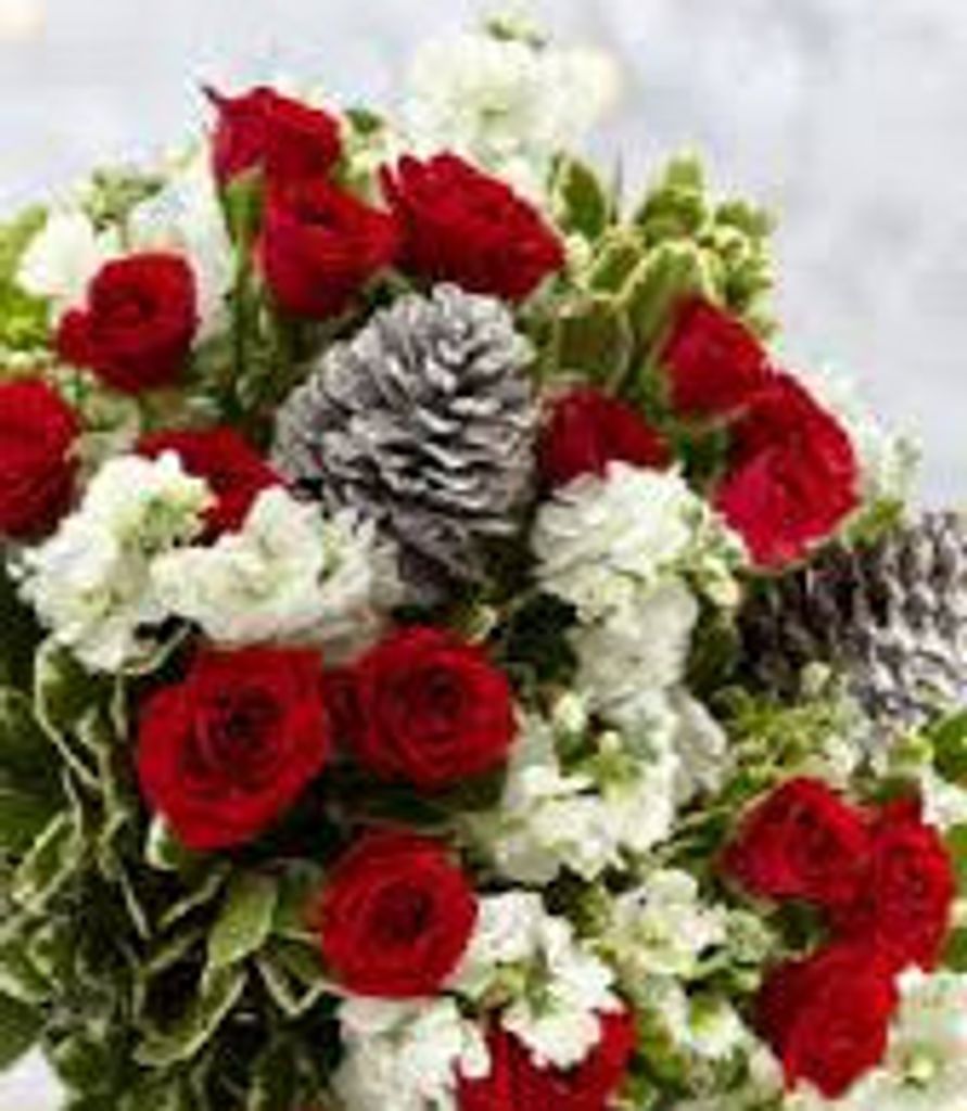 Sandra Caren Davis Profile Photo