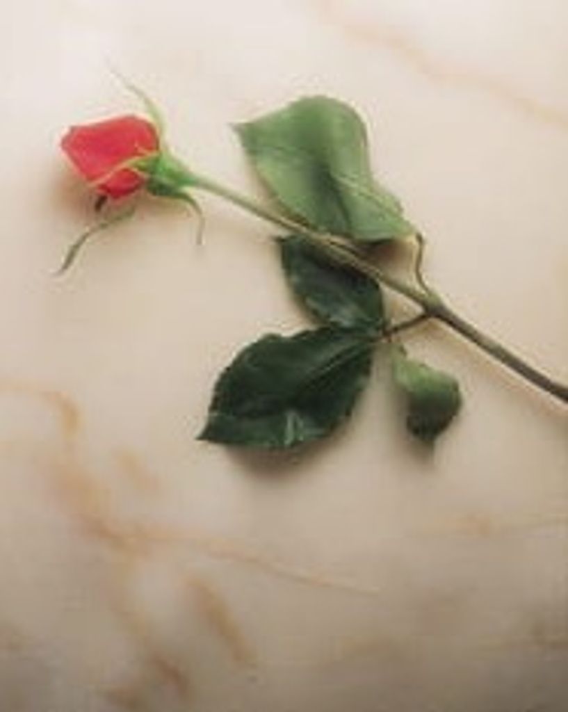 Adriana Barron De Ramirez Profile Photo