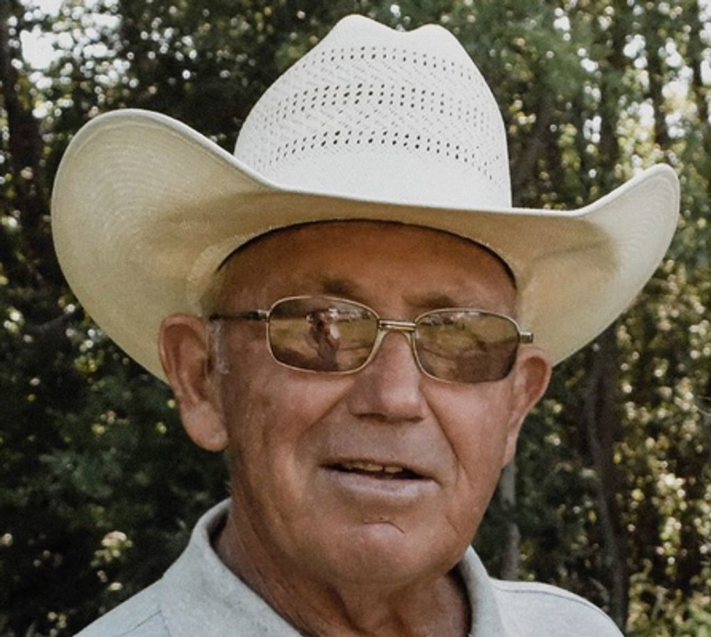 David Joseph Pelster Profile Photo