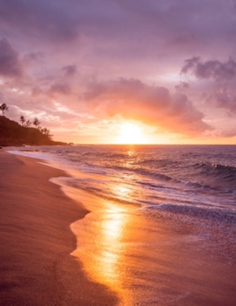 Michele Hillstrom Profile Photo