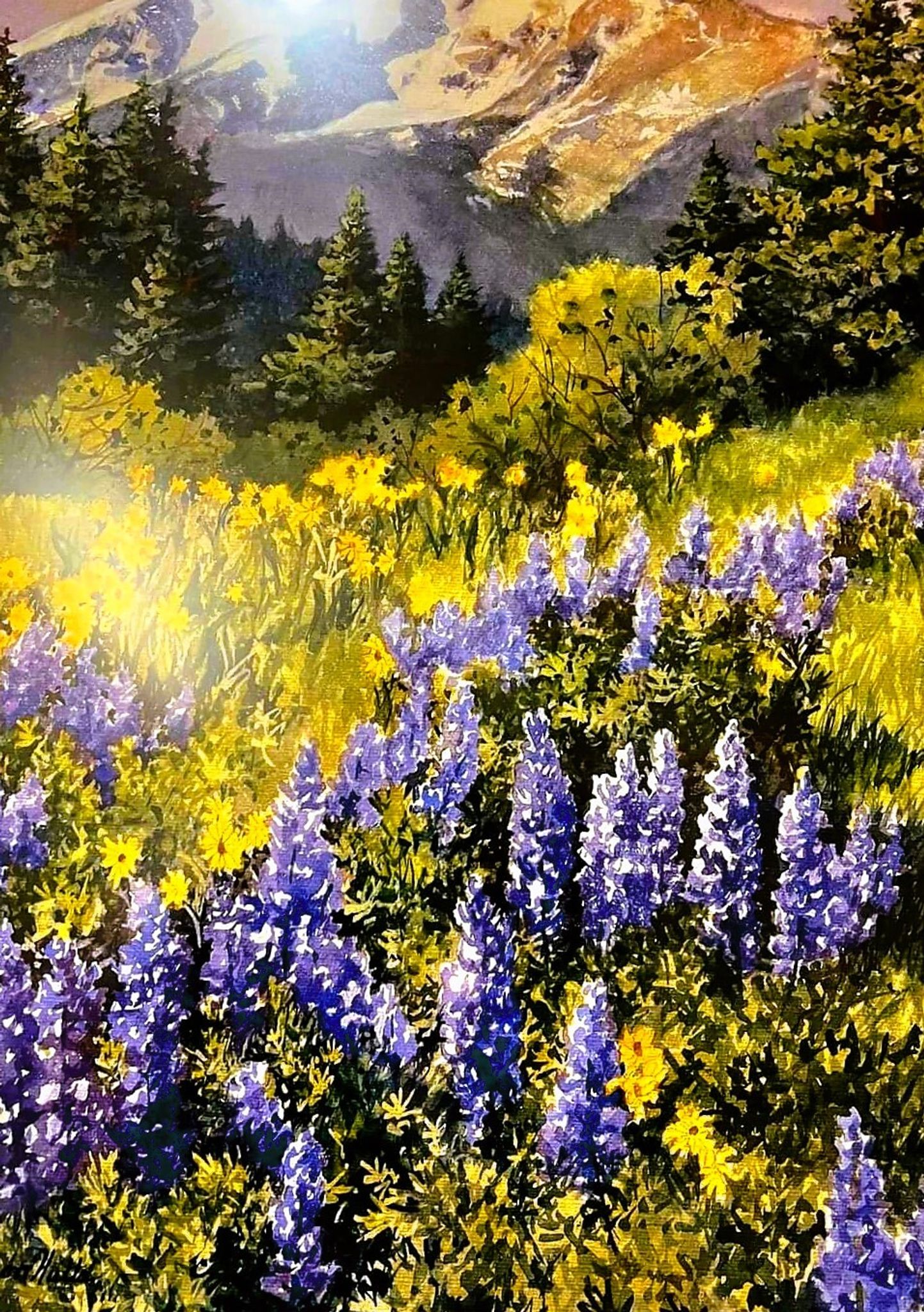 Cover for Kimberly A. Nakonechni's Obituary