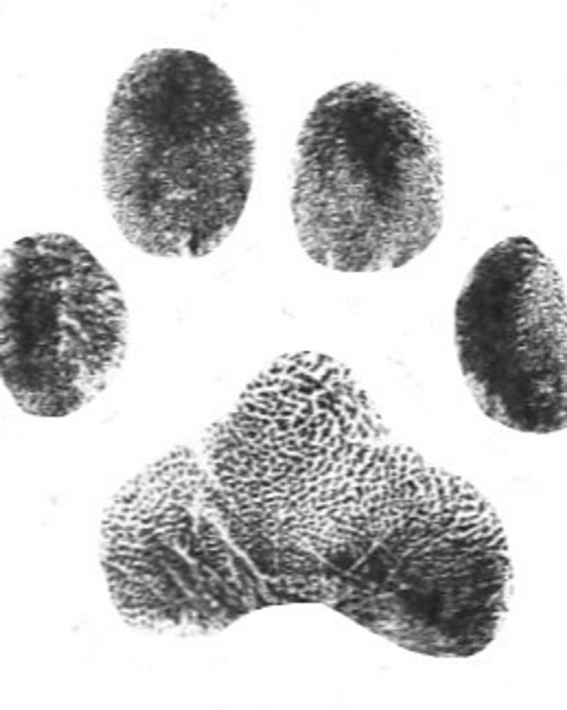 Harley McBath Profile Photo