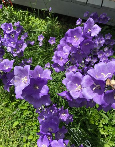 Sharon L. Bruck photo gallery thumbnail 150 of 170