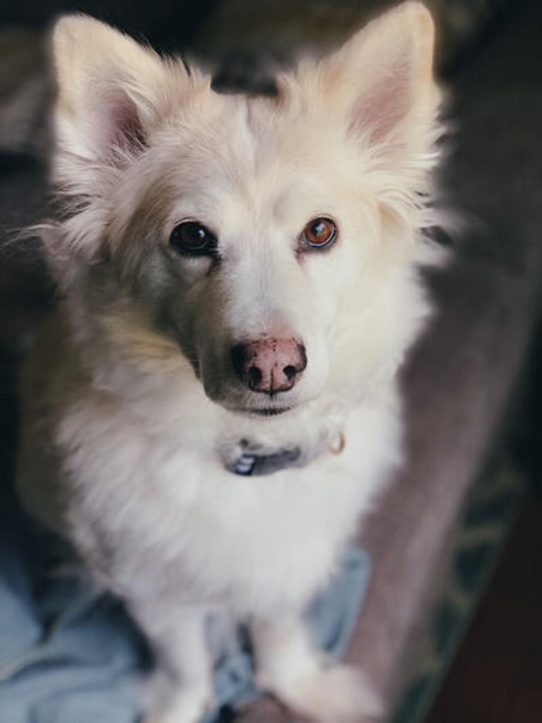 Luna Maruca Profile Photo