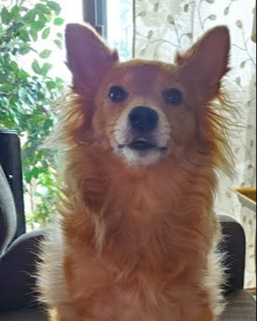 Margot Hamburg Profile Photo