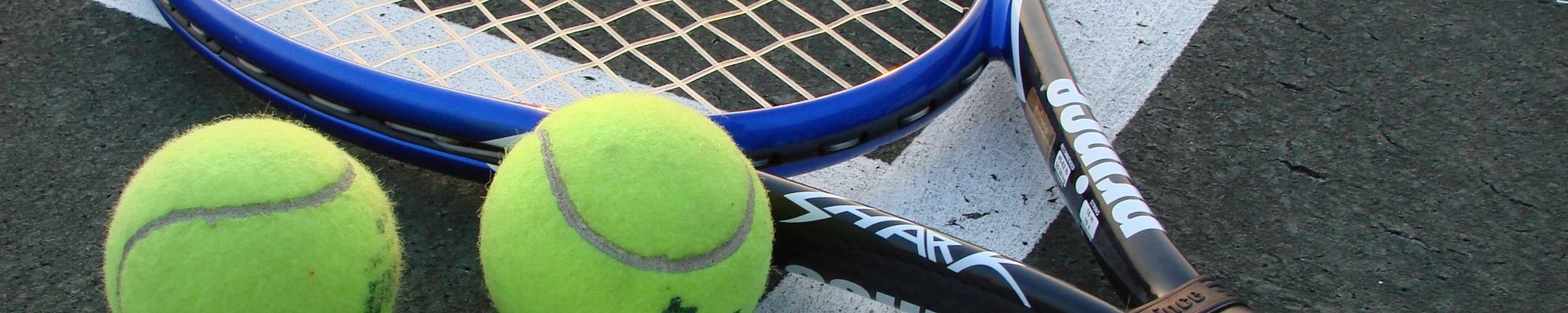 Cover for Gene Shuxteau's Obituary