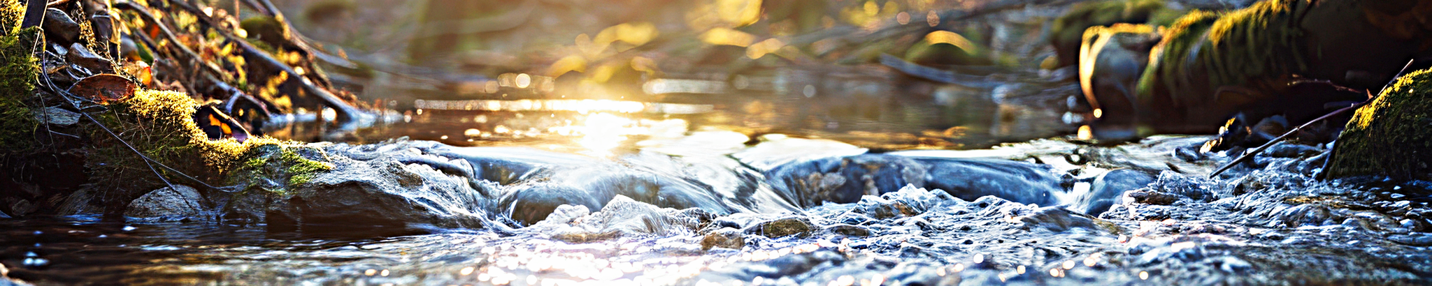 Cover for Ron Neal's Obituary