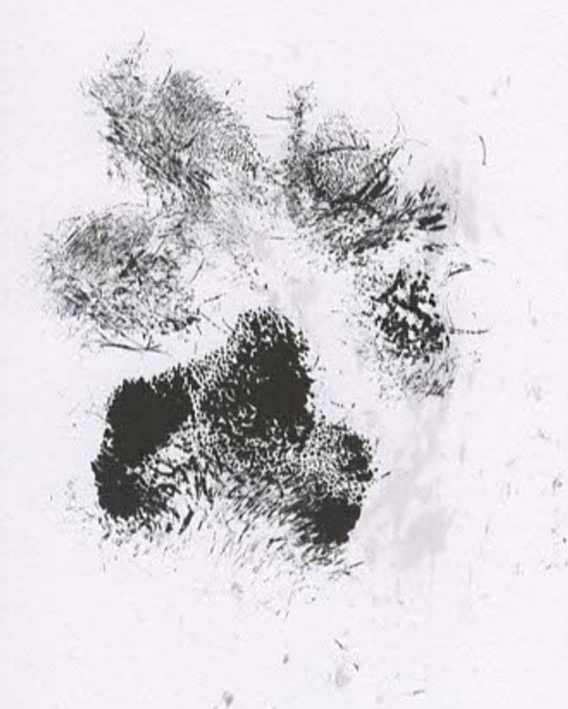 KC Hall Profile Photo