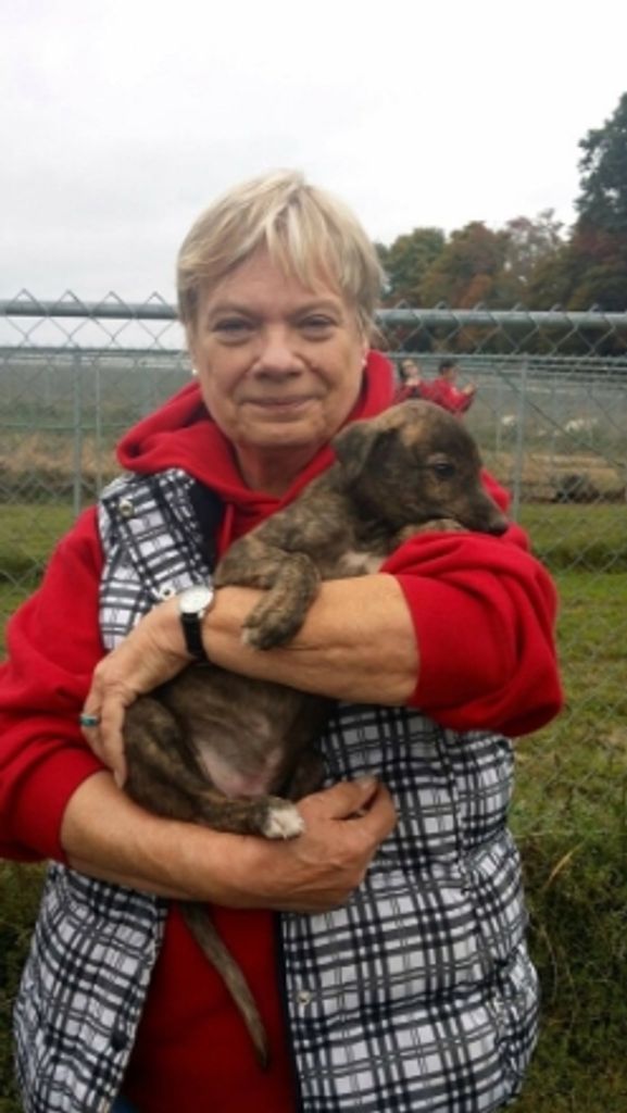 Sandra "Sandy" Kimbrell Profile Photo