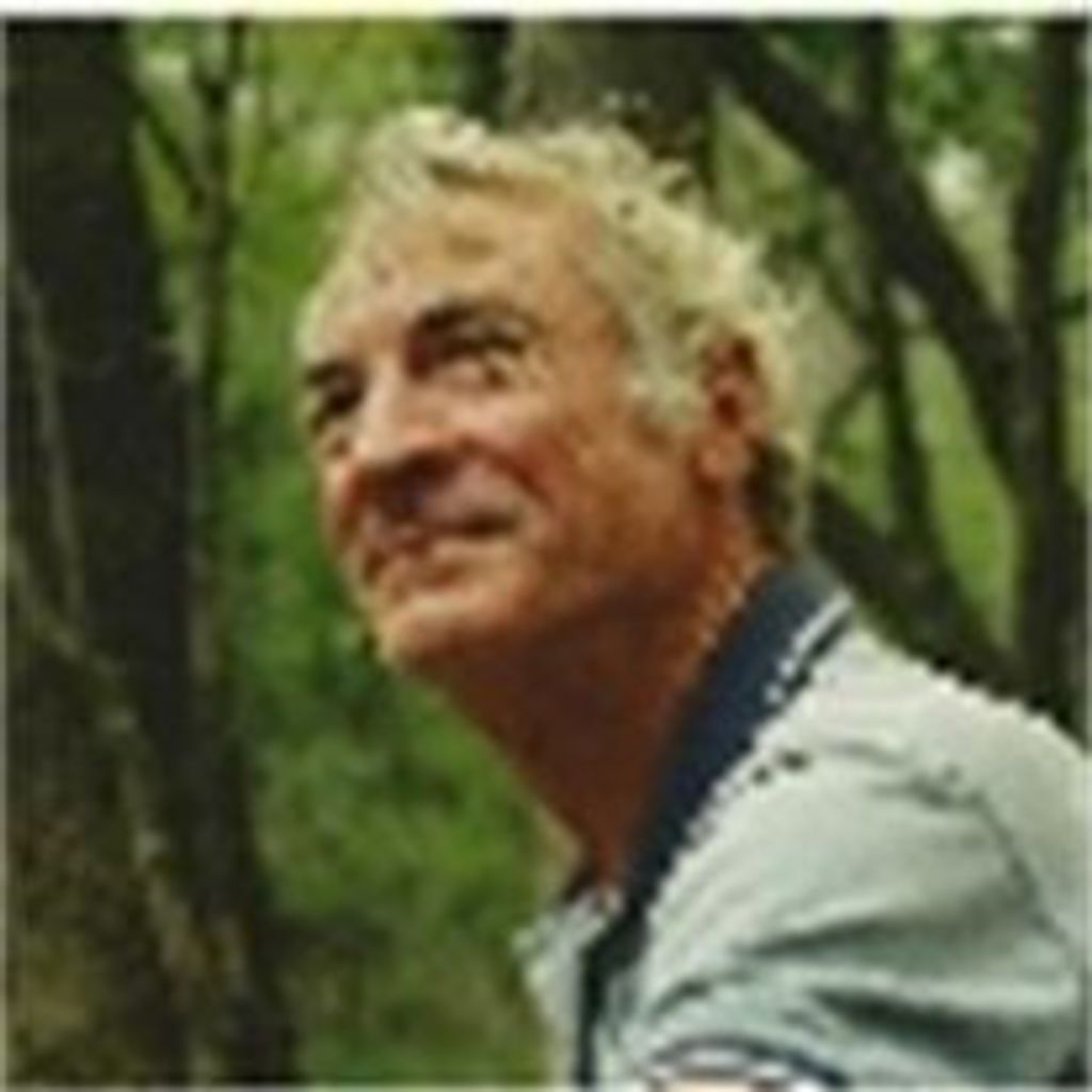 Albert Baxter Vincent