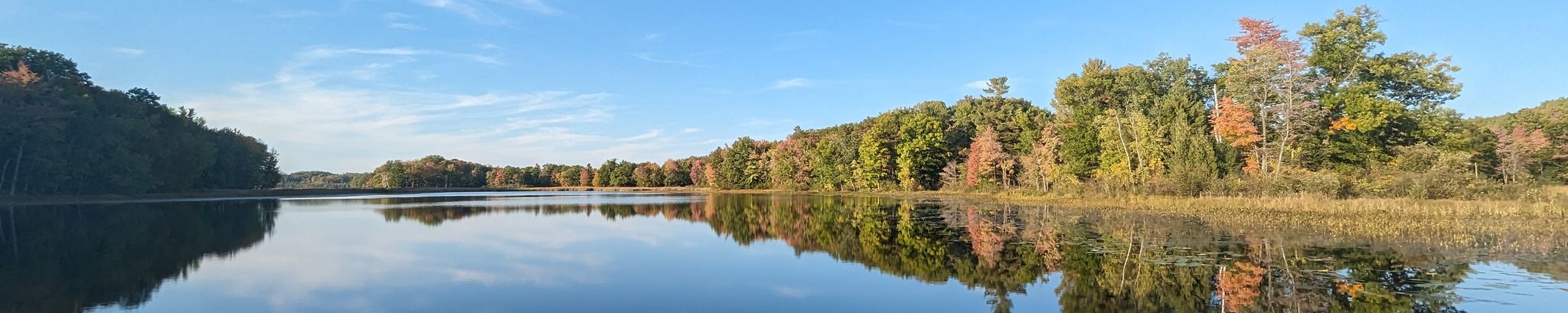 Cover for Ruth Elizabeth Holland Beeton's Obituary