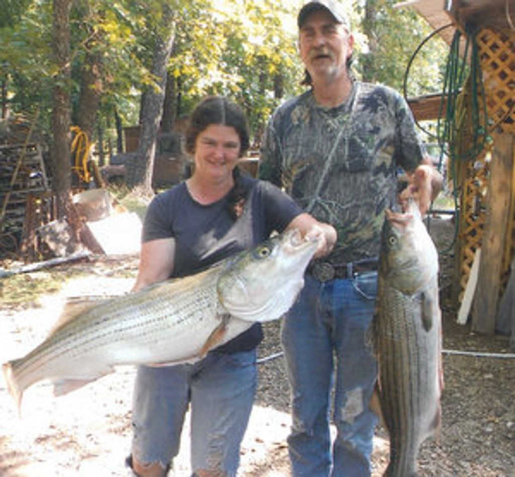 Lisa Jean Belt Profile Photo