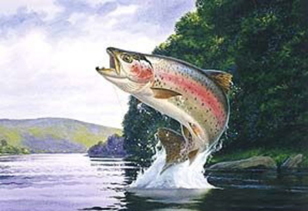 Charles Delaine Vineyard Profile Photo