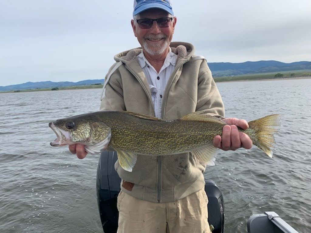 Dennis Dale Willert Profile Photo