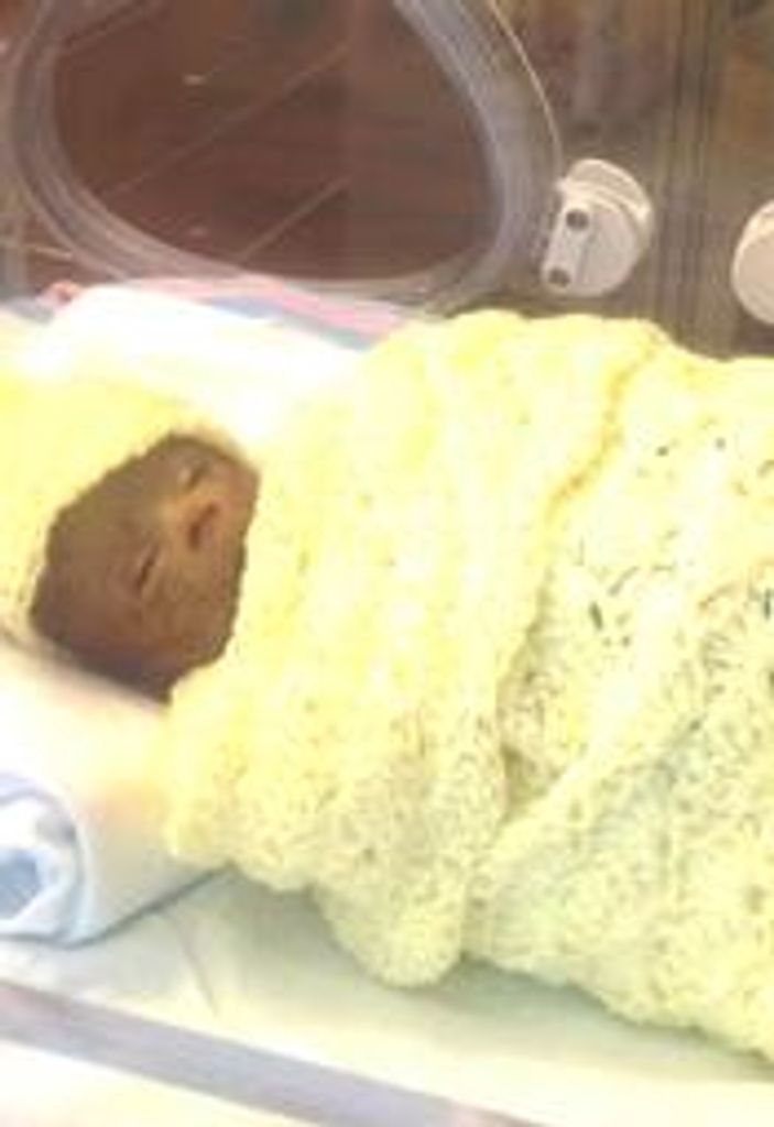 Baby Rashad Rakeem Bingham, Jr. Profile Photo