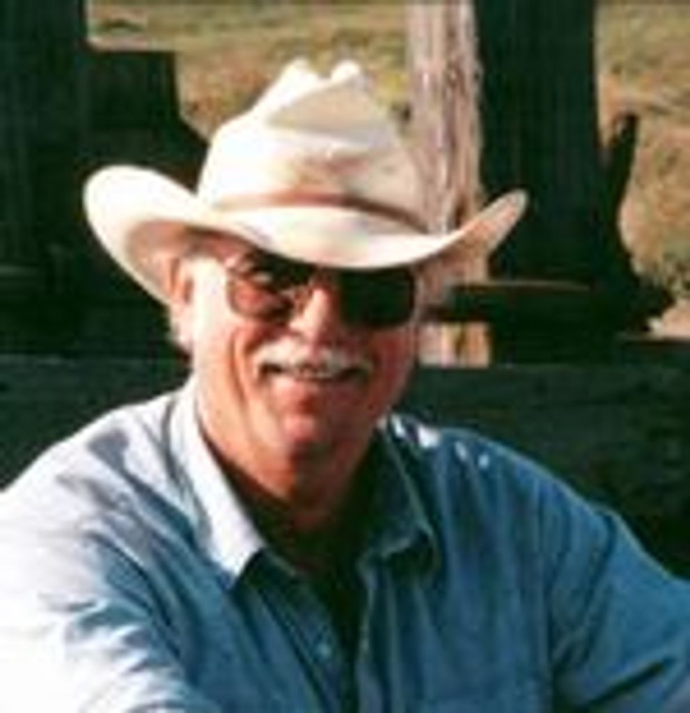 Michael H Gans