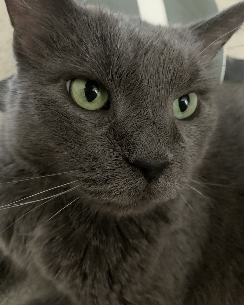Lucius Profile Photo