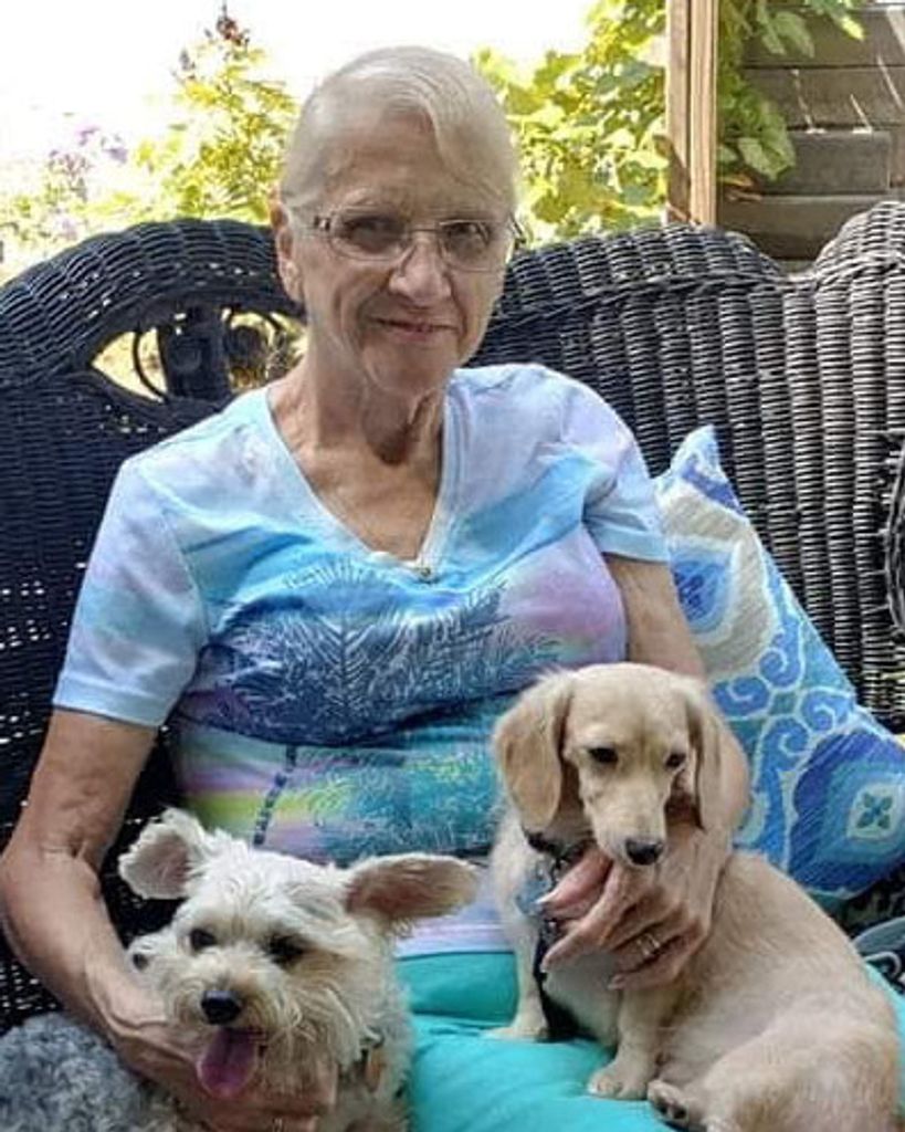 Carolyn J. Willhoite Profile Photo