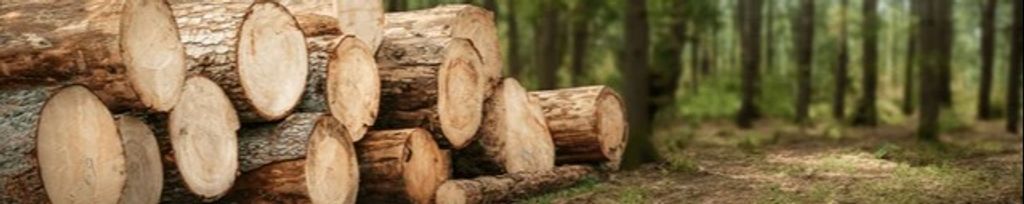 Cover photo for Clermont B. Drouin's Obituary