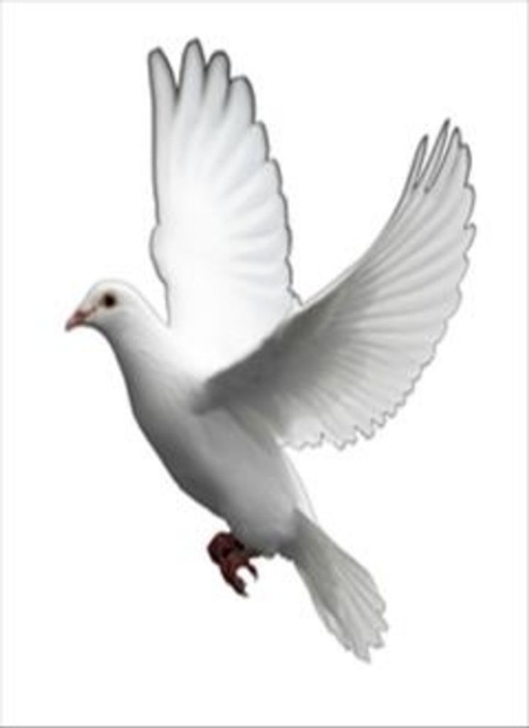 Milton Tyson Profile Photo