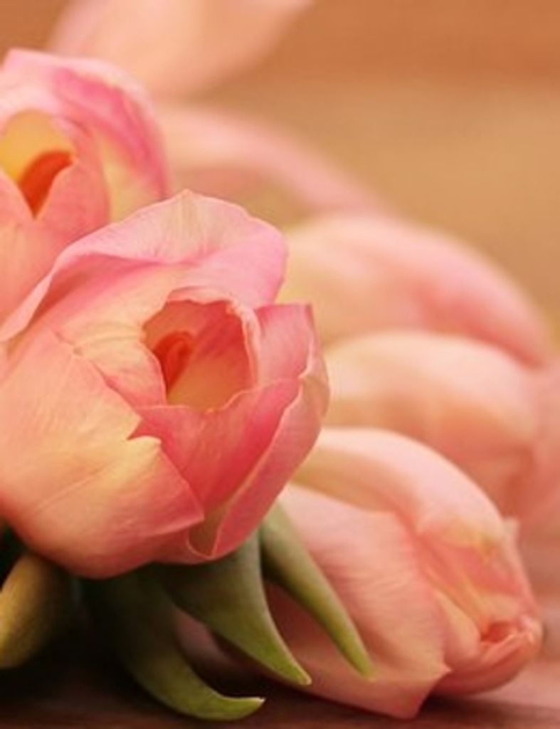 Latanya Denise Walker