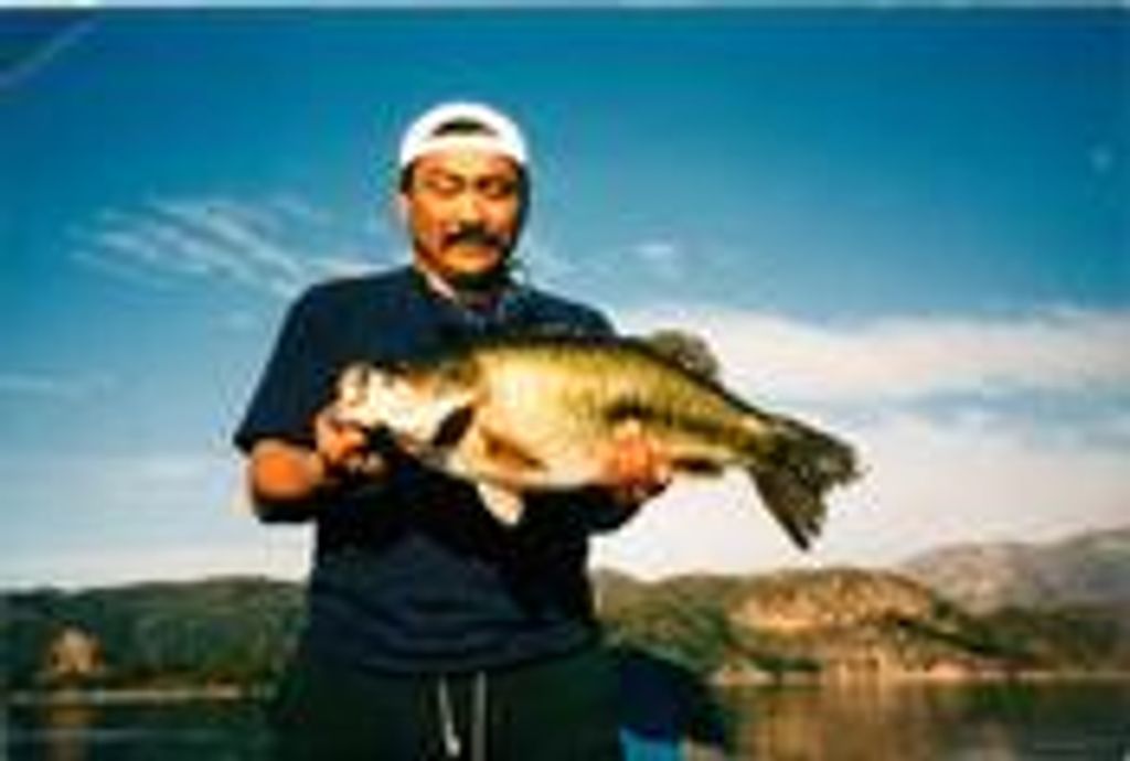 Martin Curtis Yoshida