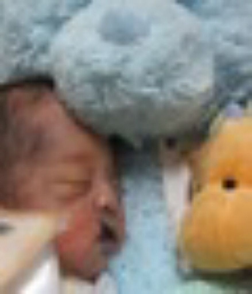 Steven Carpenter Profile Photo