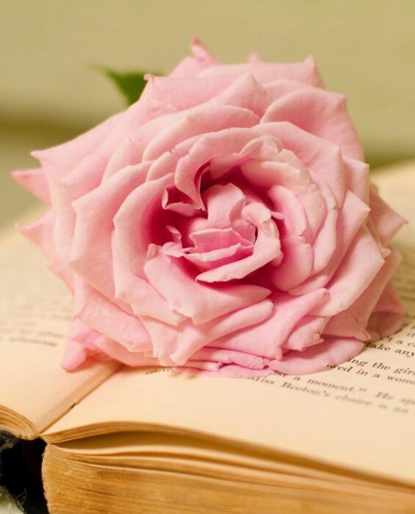 Eleanor Crabill Miller Profile Photo