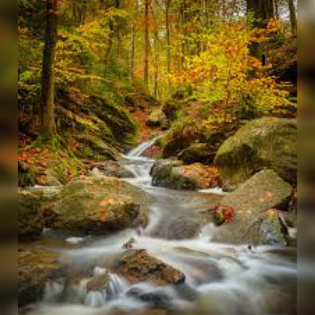 Leonard Cecil Smith Profile Photo