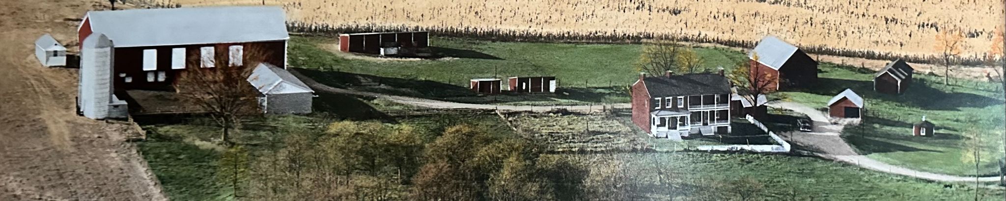 Cover photo for Faye R. Greenawalt's Obituary