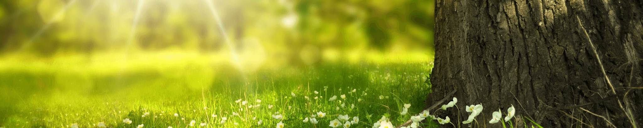 Cover photo for Joanna Grace Griffith's Obituary