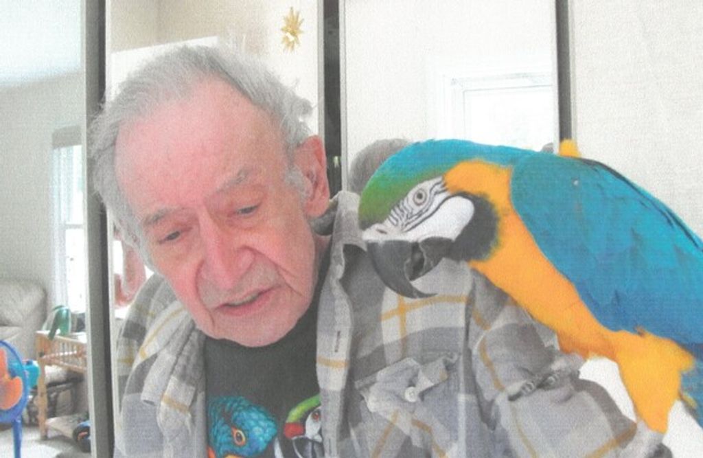 David Clark Profile Photo