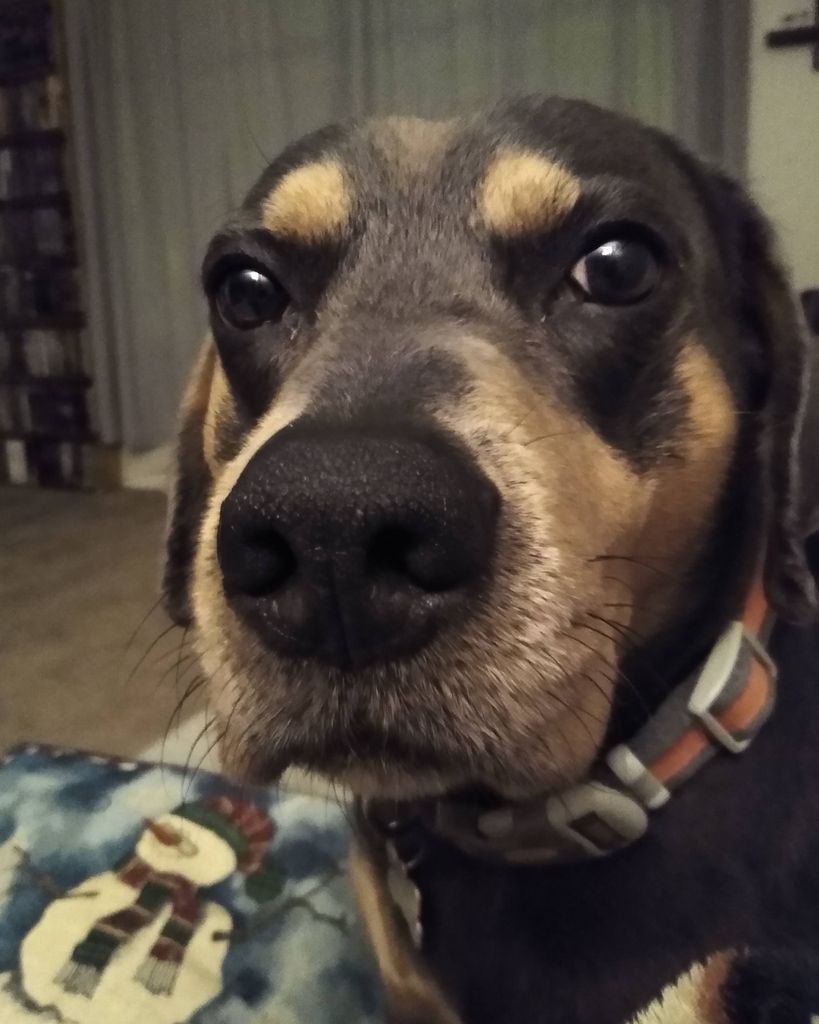 Smokey Hess Profile Photo