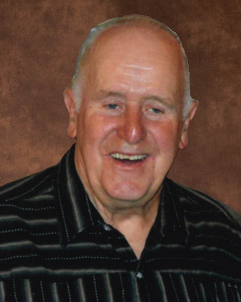 Dennis H Netten