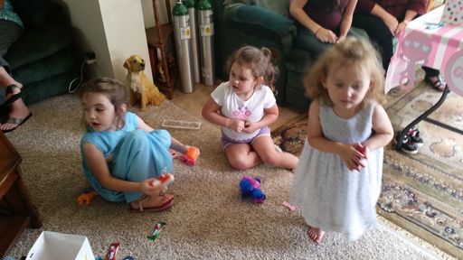 Barbara Ann (Roberts)  Hilliard photo gallery thumbnail 29 of 38