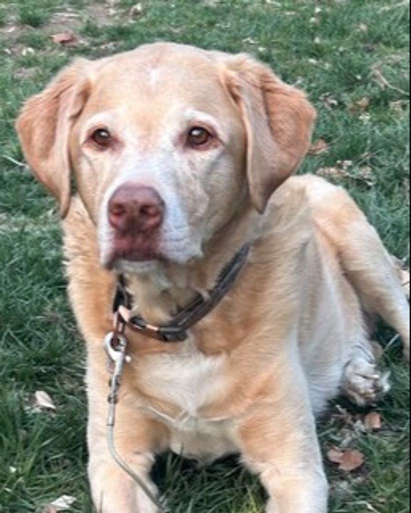 Molly Belle Profile Photo