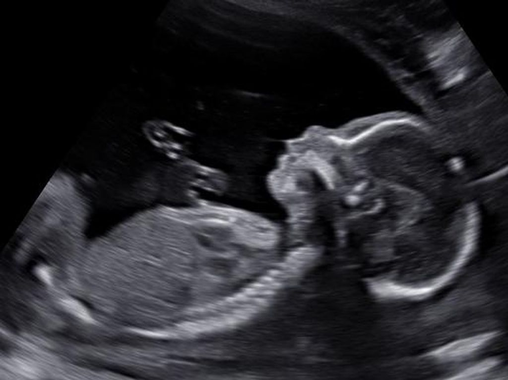 Samuel Ochoa Maldonado Profile Photo