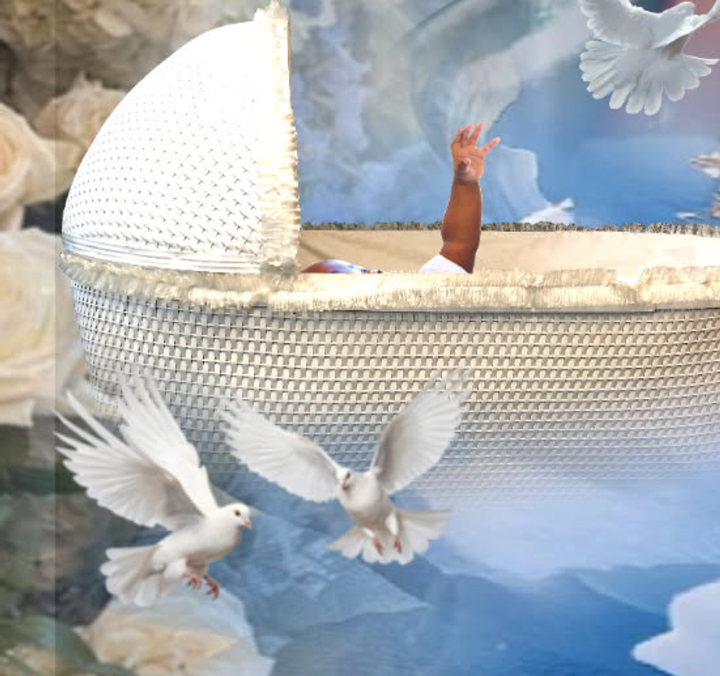 Infant Timothy Polk Profile Photo