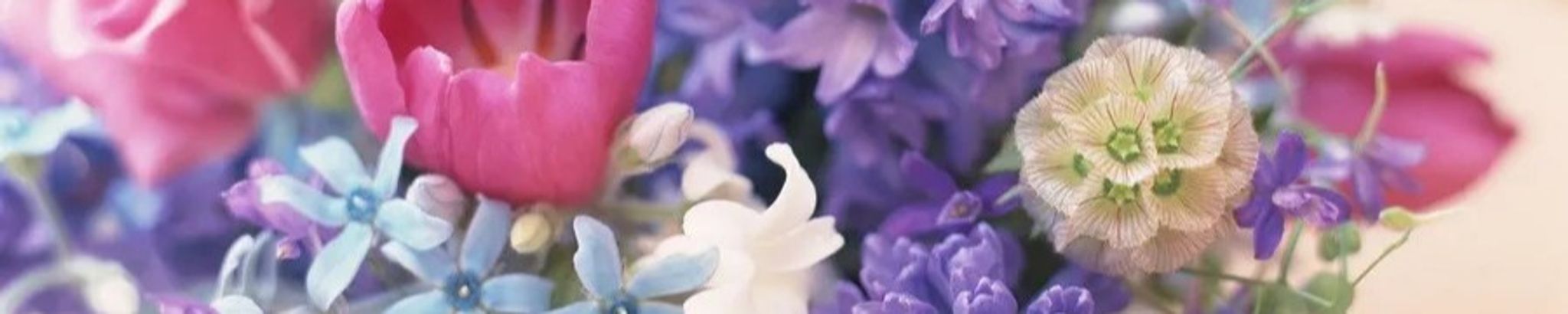 Cover photo for Lorraine P. Oraczewski's Obituary