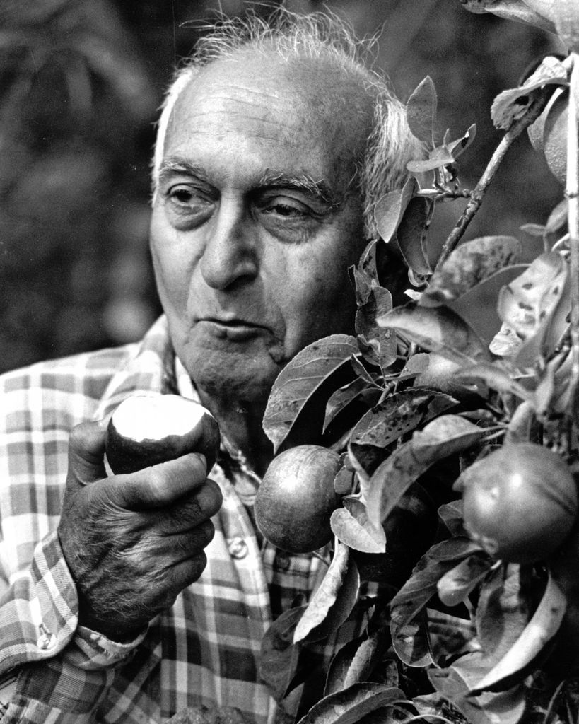 Shah-Bahram "George" Espantman Profile Photo