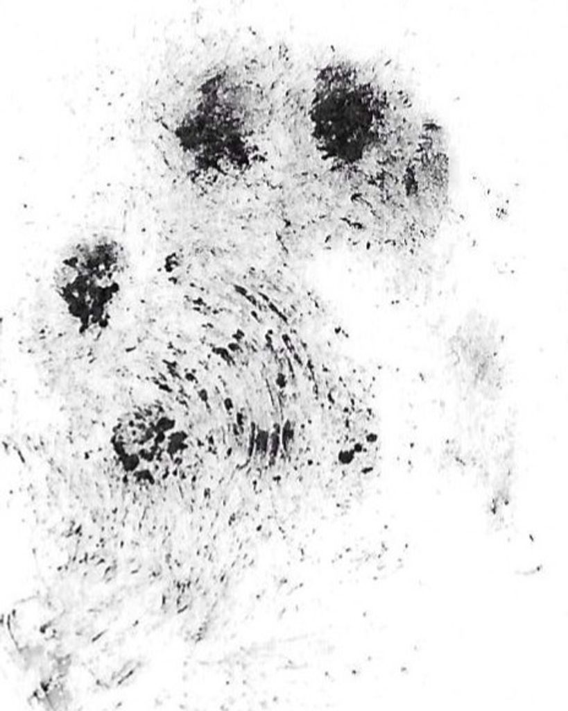 Sophia Meyer Profile Photo