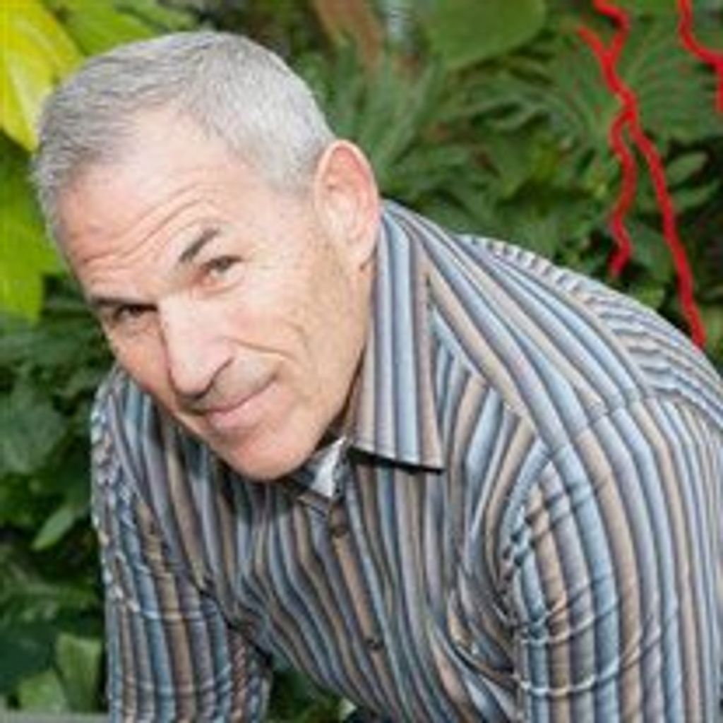 Robert  David Friedson