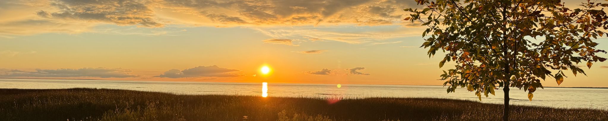 Cover for Keith Alan Vetter's Obituary